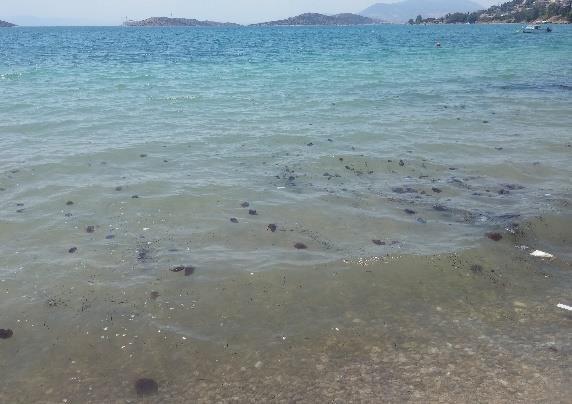 COD ΑΠΟ