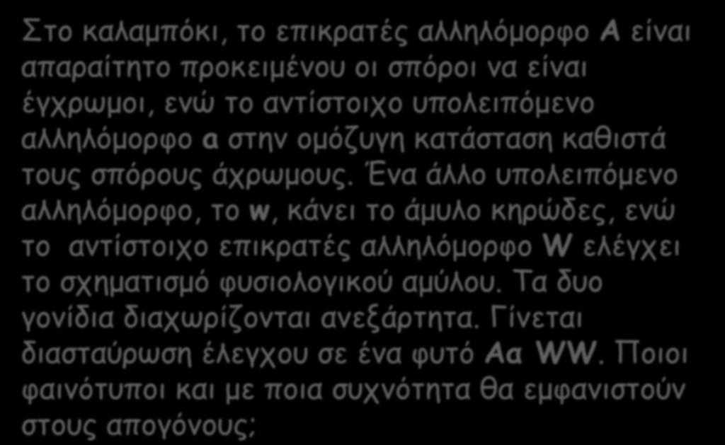 Στο καλαμπόκι, το επικρατές αλληλόμορφο Α είναι απαραίτητο προκειμένου οι σπόροι να είναι έγχρωμοι, ενώ το αντίστοιχο υπολειπόμενο αλληλόμορφο a στην ομόζυγη κατάσταση καθιστά τους σπόρους άχρωμους.