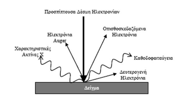 στερεό. Ωστόσο, τα περισσότερα από αυτά υφίσταται πολυάριθμες ελαστικές συγκρούσεις με αποτέλεσμα να εξέρχονται τελικά από την επιφάνεια ως οπισθοσκεδαζόμενα ηλεκτρόνια (back-scattered electrons,bs).