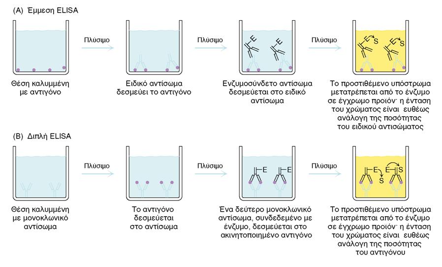 ΜΕΘΟΔΟΣ ELISA