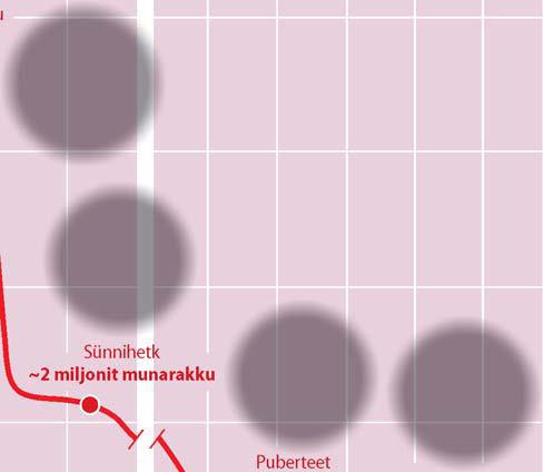 Munarakkude tekkimine Munarakkude moodustumine saab naise organismis alguse juba enne sündimist.