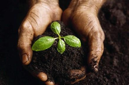 STEWARDSHIP MONTH Stewardship: TIME Two weeks ago I compared the Parable of the Sower to the concept of Time. The Good Soil allows the Word of God (The seed) to grow and produce much fruit.