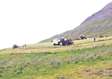 Hefur ástandið ekki verið svona slæmt frá því menn muna, að sögn Hjalta Bergsveins Bjarkasonar, fjárbónda á Þóroddsstöðum.