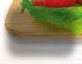 γεύσεις Thrakis gefsis grilled turkey in