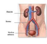 tulburări de micţiune afecţiuni