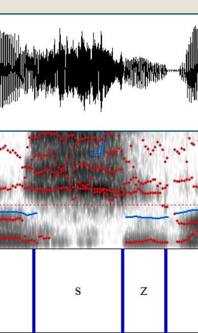 Για να ορίσουμε την ηχηρότητα του συριστικού, βασιστήκαμε στην μπάρα ηχηρότητας του φασματογραφήματος, καθώς και στην περιοδικότητα της κυματομορφής.