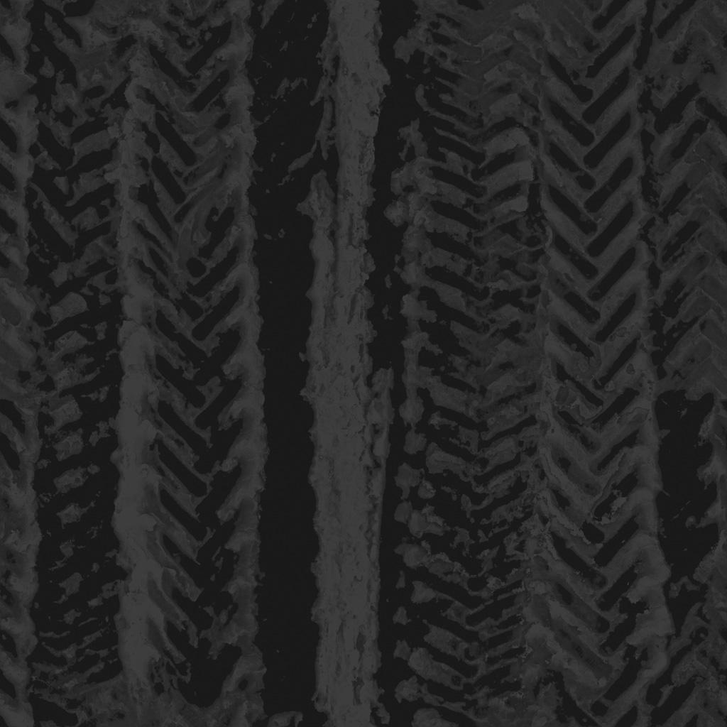 Typically they contain information about distance of displacement of a fragment, along its normal axis, encoded in grayscale images.