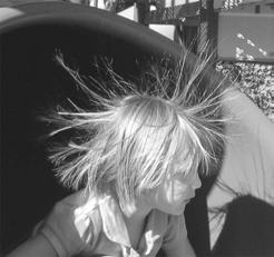 (b) As the girl slides down, she becomes charged and her hair stands on end. Chris Darling (Wikipedia) (i) The passage explains how the girl becomes charged.