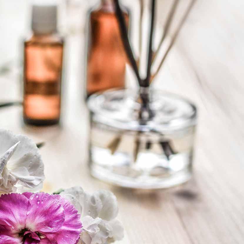 Therapy Therapy ALFALFA FORTE ANTIOXIDANT ARTROCALM ARTROCALM PLUS Revitalizant, tonic general Alfalfa (lucernă) 200,0 Urtica dioica (urzică) 65,0 Hordeum vulgare (orz vorde) 30,0 Olea europaea