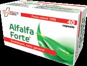Sursă naturală de vitamine şi oligoelemente Scade nivelul de colesterol Protejează funcţionarea inimii şi vaselor de sânge Menţine sănătatea tubului digestiv Creşte capacitatea de rezistenţă a