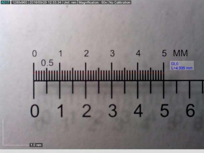 measurements in DINO LIGHTS