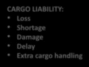 Loss Shortage