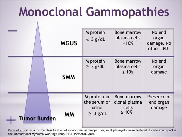 Διαγνωστικά κριτήρια MGUS, ασυμπτωματικού και συμπτωματικού μυελώματος Η παρουσία Μ-πρωτεΐνης