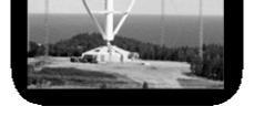 Rotorul acestor turbine este format din una sau mai multe pale identice, dispuse radial şi montate solidar într-un butuc central calat pe un arbore sprijinit în lagăre.