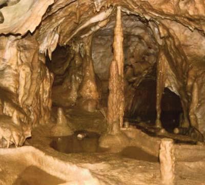 URMELE DACILOR ÎN OLTENIA Academia Zamolxiană şi magistrala turistică ing.