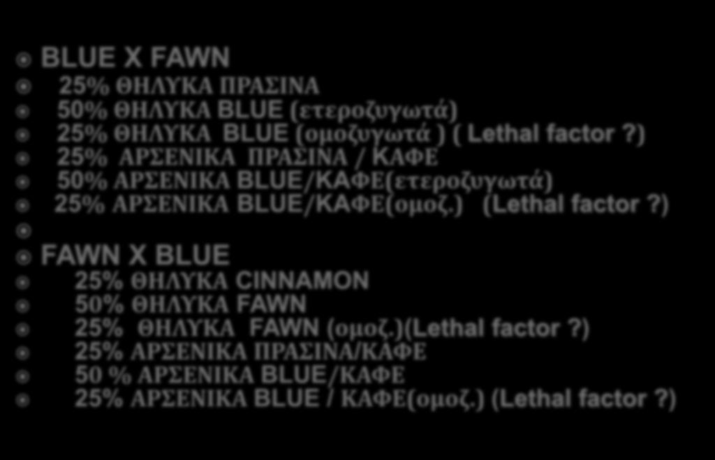 BLUE X FAWN 25% ΘΗΛΤΚΑ ΠΡΑΙΝΑ 50% ΘΗΛΤΚΑ BLUE (ετεροζυγωτϊ) 25% ΘΗΛΤΚΑ BLUE (ομοζυγωτϊ ) ( Lethal factor?) 25% ΑΡΕΝΙΚΑ ΠΡΑΙΝΑ / KΑΥΕ 50% ΑΡΕΝΙΚΑ BLUE/KAΥΕ(ετεροζυγωτϊ) 25% ΑΡΕΝΙΚΑ BLUE/KAΥΕ(ομοζ.