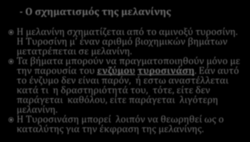 - Ο ςχηματιςμόσ τησ μελανύνησ Η μελανίνη ςχηματίζεται από το αμινοξύ τυροςίνη. Η Συροςίνη μ έναν αριθμό βιοχημικών βημάτων μετατρέπεται ςε μελανίνη.