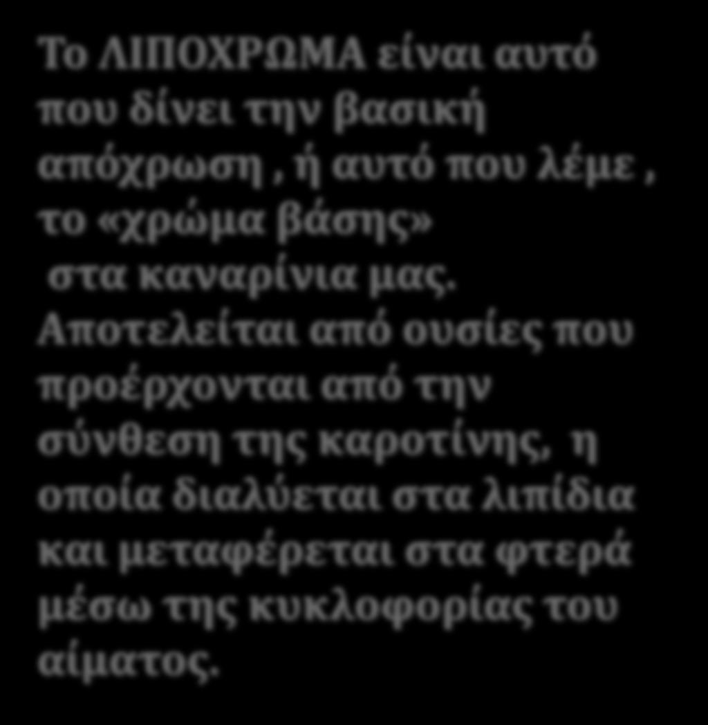 Σο ΛΙΠΟΦΡΩΜΑ εύναι αυτό που δύνει