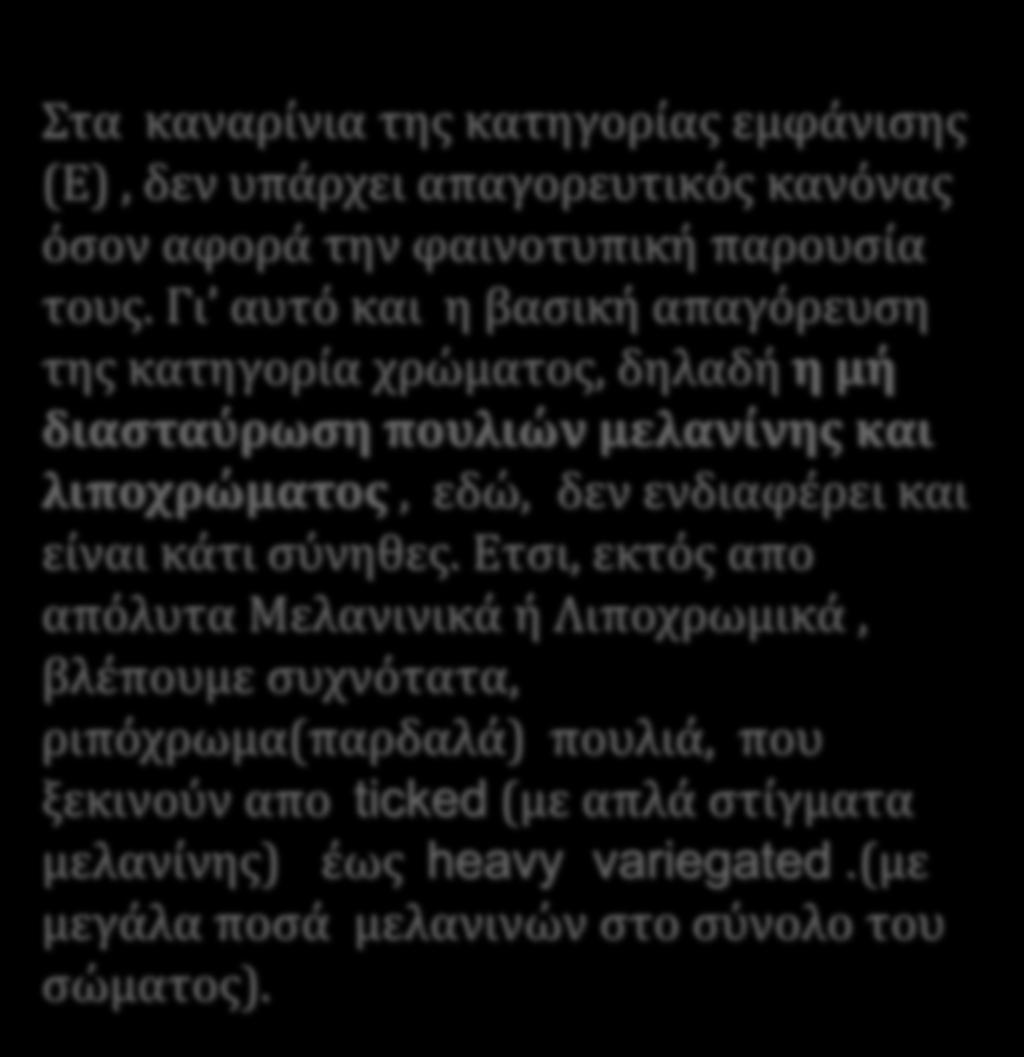 τα καναρίνια τησ κατηγορίασ εμφάνιςησ (Ε), δεν υπάρχει