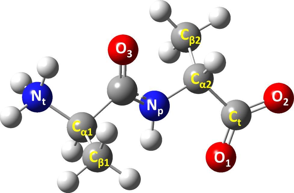 Alnine Dipeptide Fully optimized structure by DFT Fig. S3. The fully optimized neutrl ph structure of lnine dipeptide in queous solution.