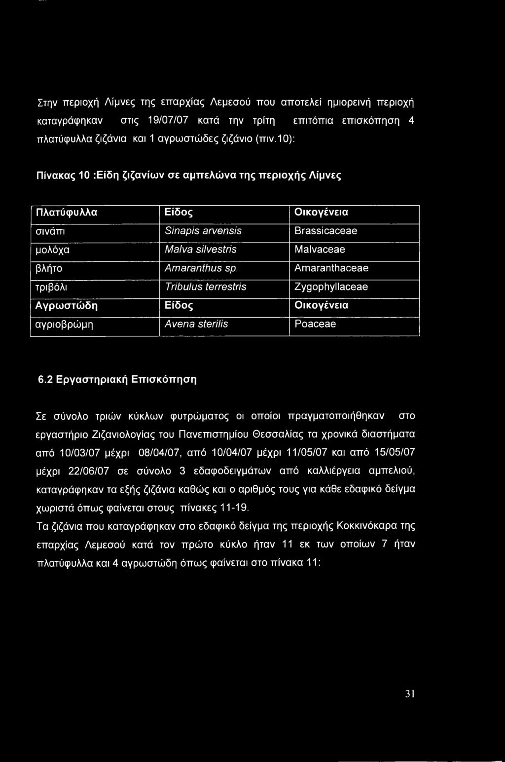 Amaranthaceae τριβόλι Tribulus terrestris Zygophyllaceae Αγρωστώδη Είδος Οικογένεια αγριοβρώμη Avena sterilis Poaceae 6.