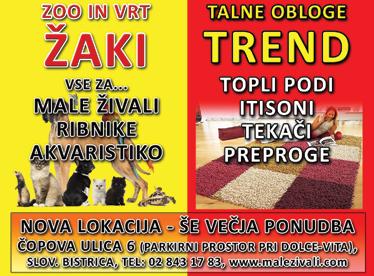 julija vadili v Slovenski Bistrici, so predstavili Slovaško, Avstrijo in Severno Irsko. Udeleženci kampa v bistriškem športnem parku so imeli nogometni trening dvakrat na dan.