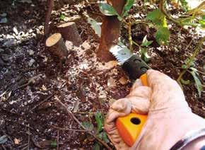 ΧΑ23 Kατάλληλοι για κλάδεμα κλαδιών δέντρων, καθάρισμα θάμνων/βάτων