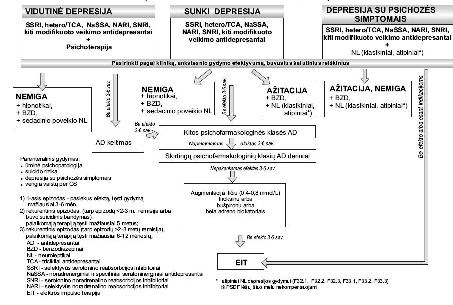 DEPRESIJOS GYDYMO METODIKA (F32.1, F32.2, F32.3, F33.1, F33.2, F33.3) Papildyta skirsniu: Nr.