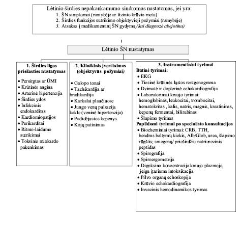 TLK hipertenzijos klasifikacija