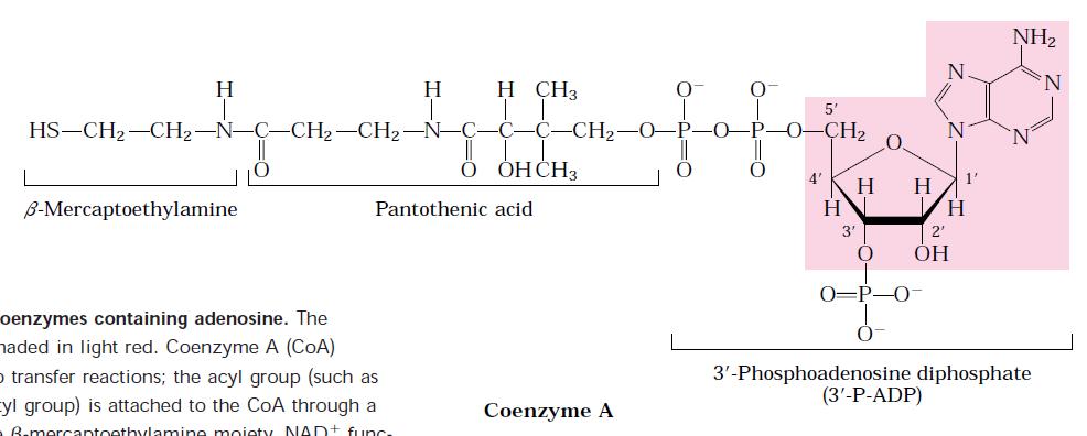 Nucleoside