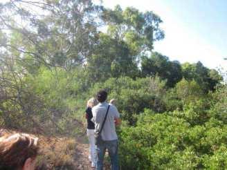 Εξίσου σηµαντικό είναι ότι το Κεντρικό Αρχαιολογικό Συµβούλιο διαφώνησε µε τα ύψη των κτιρίων τα οποία υπερβαίνουν κατά πολύ όχι µόνο τη µέχρι σήµερα δόµηση στην Αττική, ανατρέποντας τα ισχύοντα ήπια