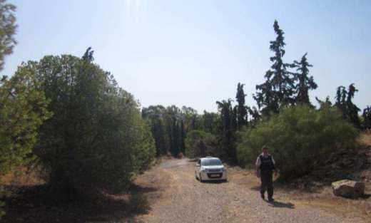 Χωµατόδροµος