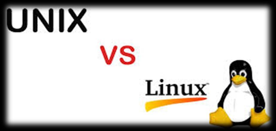 1992: Linux 1965: o Ted