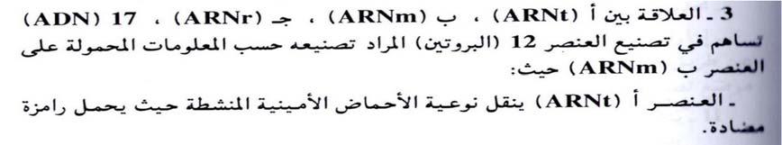 المتحان الفصل