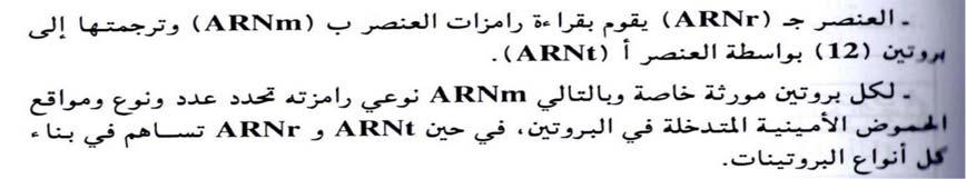 االجابة المحاو