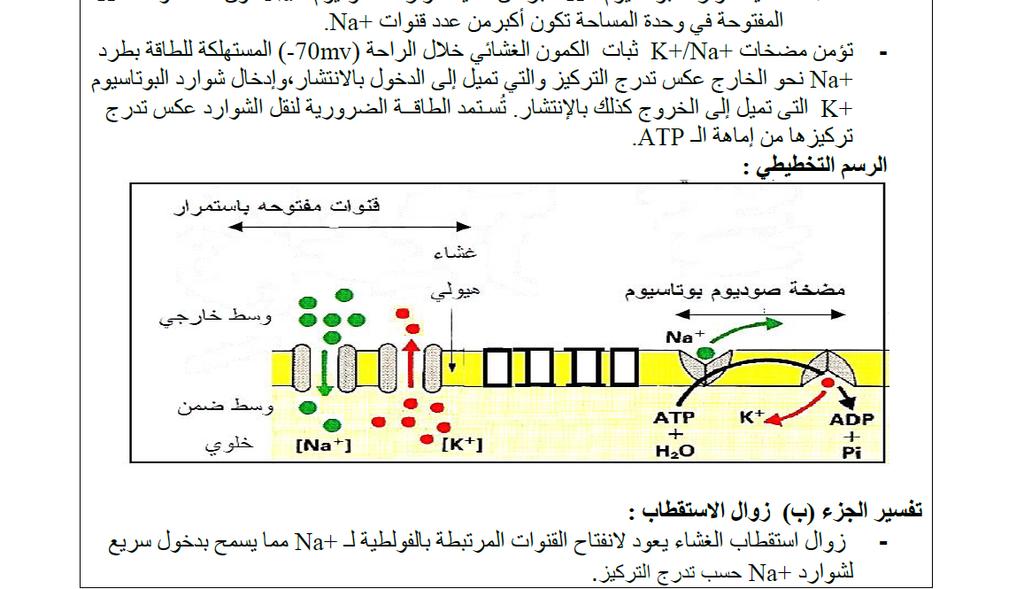 التمرين