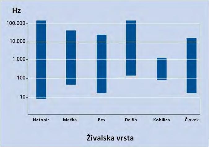 Katere frekvence so slišne?