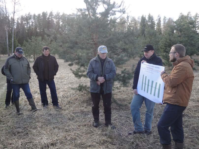 LVMI Silava zinātniskā darba virzieni Meža kapitālvērtības palielināšana Meža selekcija, ģenētika un kokaugu adaptācija Latvijas meža selekcijas programmas īstenošana: augstvērtīga meža reproduktīvā