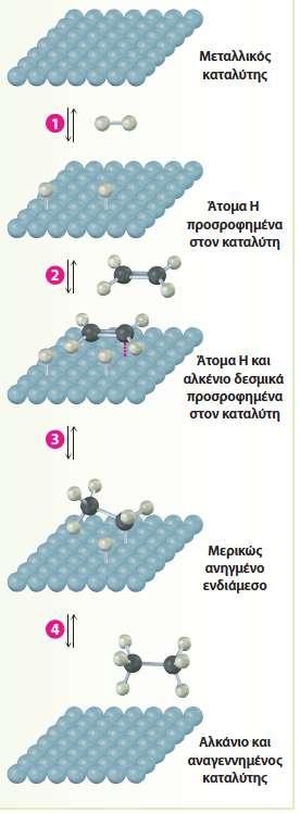 1. Προσρόφηση μοριακού H 2 στην επιφάνεια του καταλύτη, διάστασή του, σχηματισμός προσροφημένων ατόμων υδρογόνου. 2. Απορρόφηση αλκενίου στην επιφάνεια του καταλύτη και χρησιμοποίηση του π δεσμού ώστε να σχηματιστεί σύμπλοκο με τα άτομα του μετάλλου.