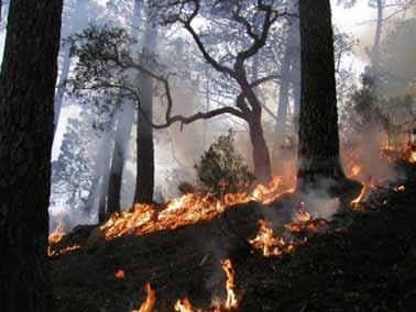 Σχετικά με την ομιλία Η ομιλία αποτελείται απο τις παρακάτω ενότητες: Σύντομη αναφορά στην Τηλεπισκόπηση και στα Γεωγραφικά Συστήματα