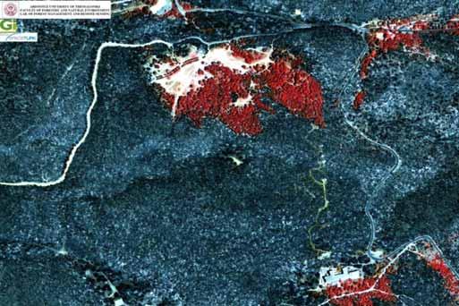 Εκτίμηση επιπτώσεων Χαρτογράφηση καμένων εκτάσεων