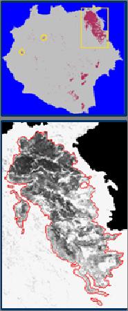 Εκτίμηση