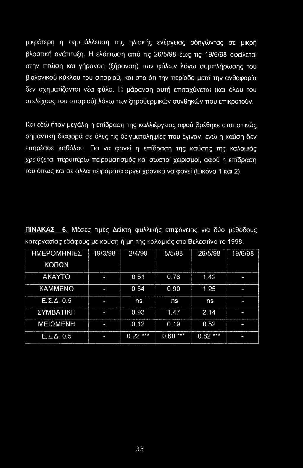σχηματίζονται νέα φύλα. Η μάρανση αυτή επιταχύνεται (και όλου του στελέχους του σιταριού) λόγω των ξηροθερμικών συνθηκών που επικρατούν.