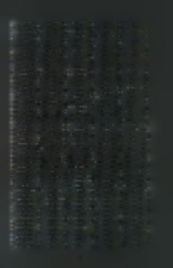 971216. 046 07-0.2 2.5 971217 047 06 03 8.1 971218 048 04 03 3.7 971219 049 05 03 0 971220 050 06 04 0 971221 051 09 02 7.8 971222 052 08 04 0.4 971223 053 14.5 01 0 971224 054 13 02 0.