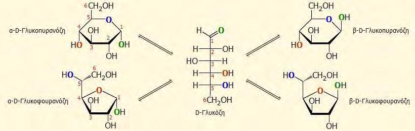 μορίου αλκοόλης, η ημιακετάλη βρίσκεται στα μισά της πορείας μετατροπής της σε «πλήρη» ακετάλη. Το δεύτερο μισό του μηχανισμού, είναι μια S N 1 υποκατάσταση της πρωτονιωμένης ημιακετάλης (L.G.