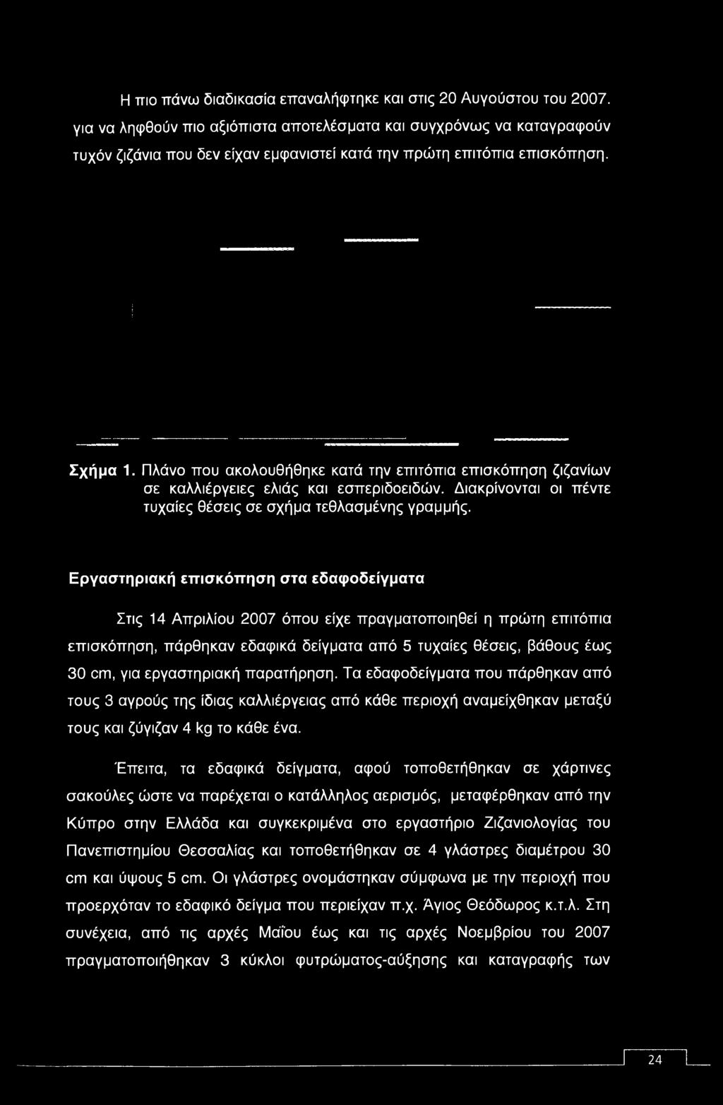 Πλάνο που ακολουθήθηκε κατά την επιτόπια επισκόπηση ζιζανίων σε καλλιέργειες ελιάς και εσπεριδοειδών. Διακρίνονται οι πέντε τυχαίες θέσεις σε σχήμα τεθλασμένης γραμμής.