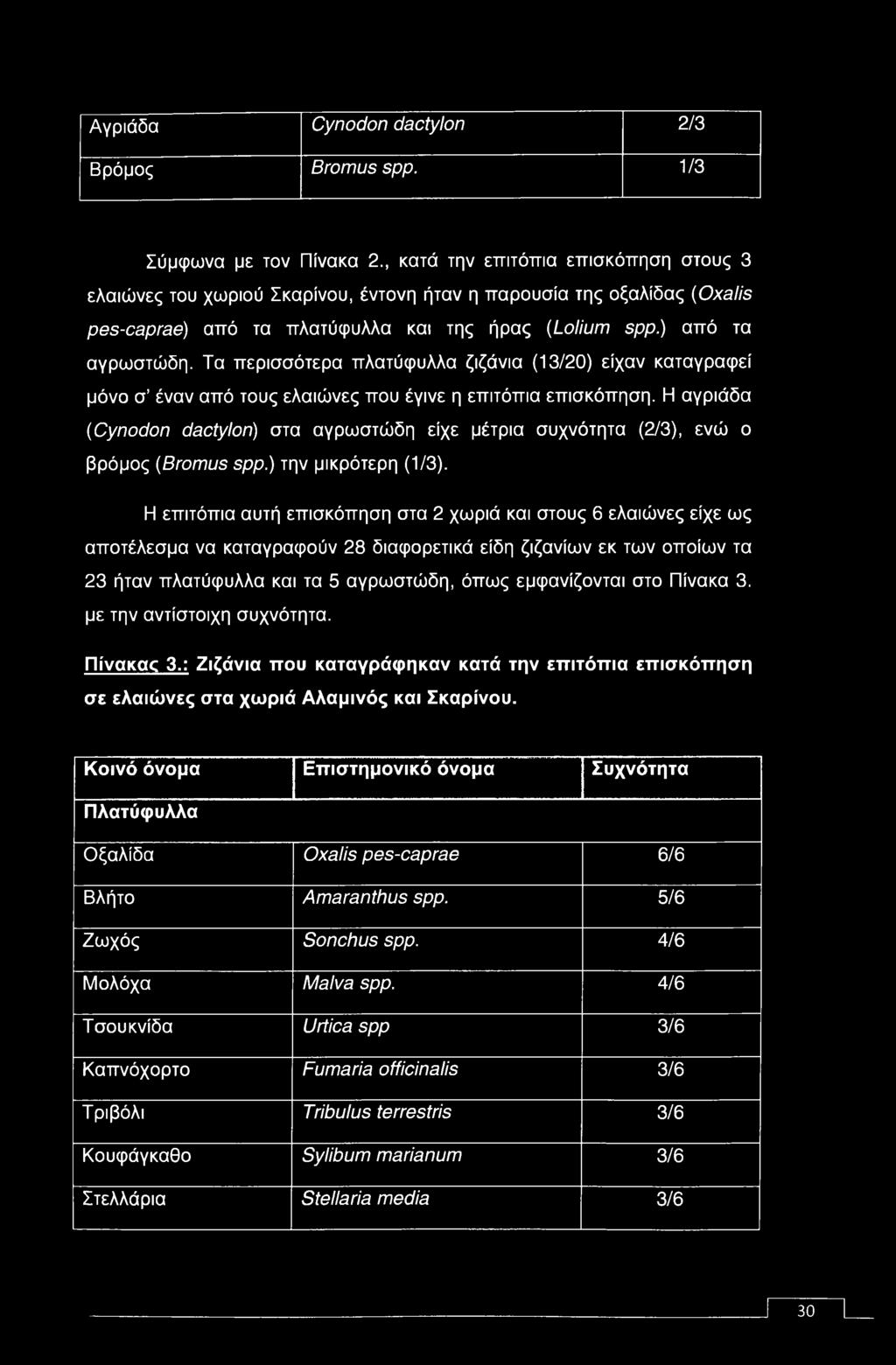 Τα περισσότερα πλατύφυλλα ζιζάνια (13/20) είχαν καταγραφεί μόνο σ έναν από τους ελαιώνες που έγινε η επιτόπια επισκόπηση.