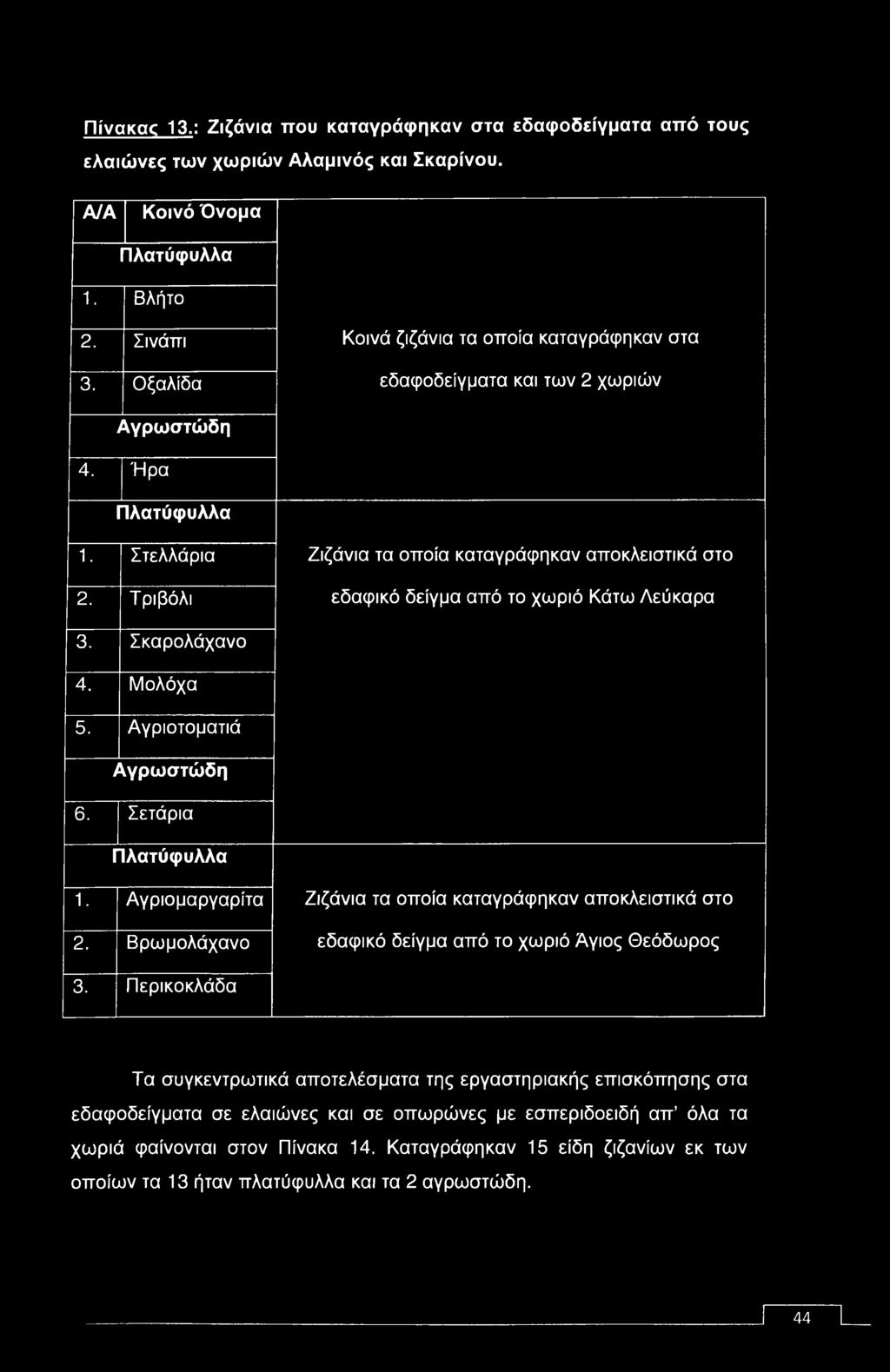 Βρωμολάχανο Ζιζάνια τα οποία καταγράφηκαν αποκλειστικά στο εδαφικό δείγμα από το χωριό Άγιος Θεόδωρος 3.