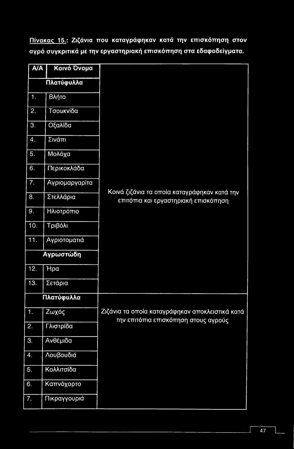 Ηλιοτρόπιο Κοινά ζιζάνια τα οποία καταγράφηκαν κατά την επιτόπια και εργαστηριακή επισκόπηση 10.