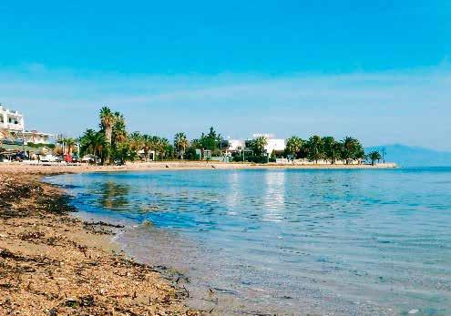 Κόστα - Σπέτσες ΚΥΡΙΑΚΗ 19 ΑΥΓΟΥΣΤΟΥ ΤΙΜΗ ΚΑΤ ΑΤΟΜΟ: 16 Αναχώρηση 07:30, ημίωρη στάση στην περιοχή του ΙΣΘΜΟΥ και συνεχίζουμε για ΚΟΣΤΑ.